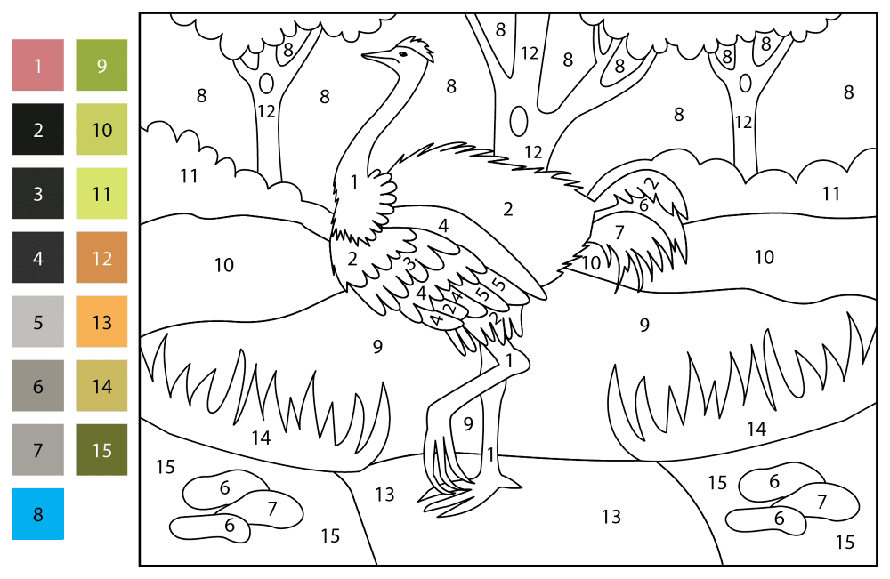 Ostrich Color By Number Coloring Page Md Coloring Page — Free Printable — free printable coloring page